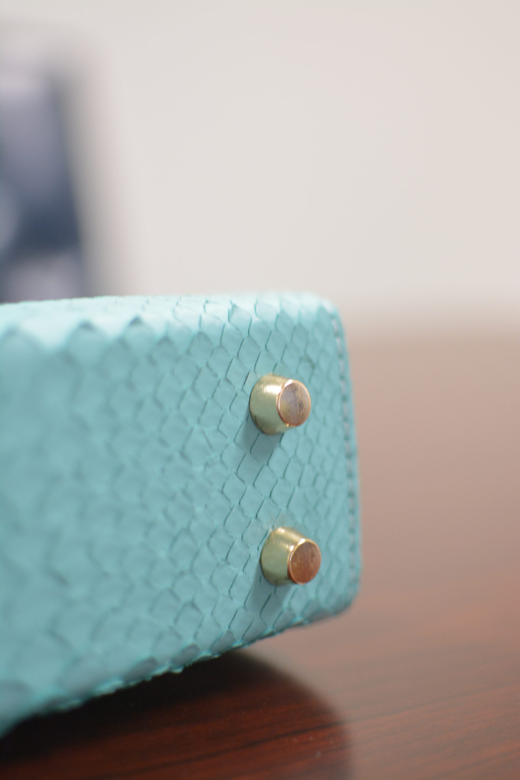 Senda Bag-Tiffany Python - Image 5